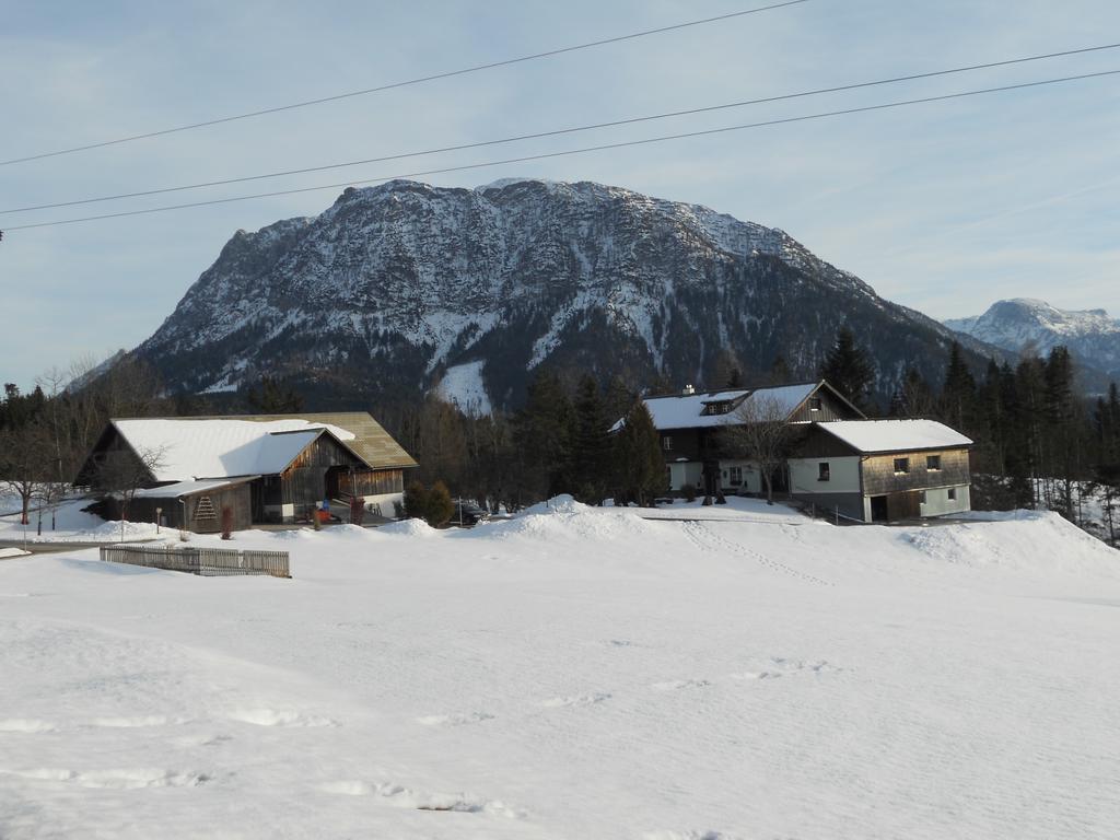 Ferienwohnung Am Bauernhof Koa Bad Goisern Exteriör bild