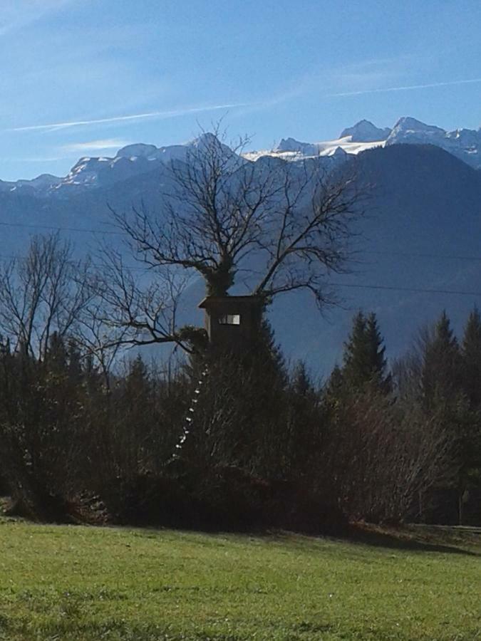 Ferienwohnung Am Bauernhof Koa Bad Goisern Exteriör bild
